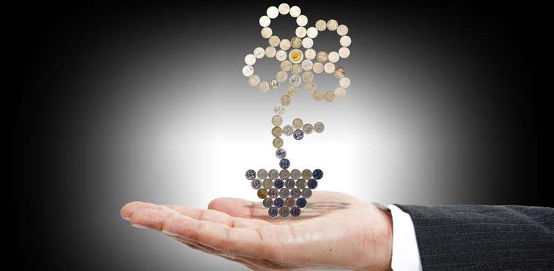 השקעה צמיחה רווח / קרדיט: שאטרסטוק